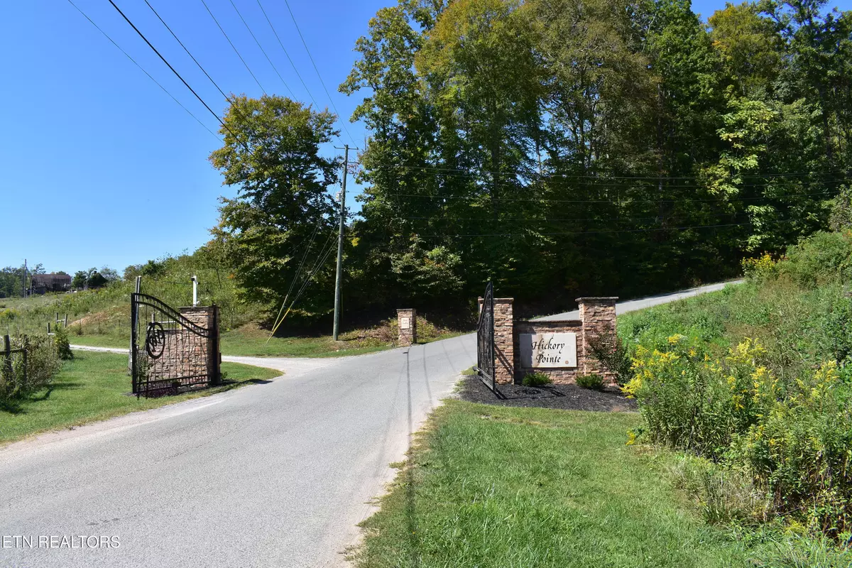 Maynardville, TN 37807,Lot 35 Hickory Pointe LN