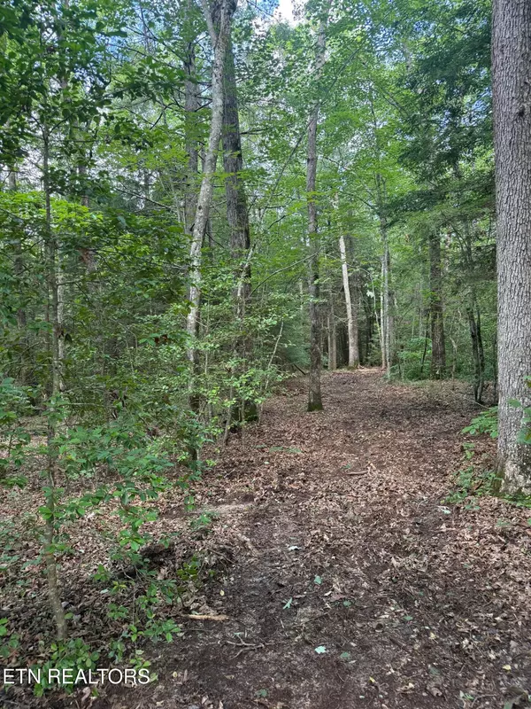 Jamestown, TN 38556,0 Acorn LN