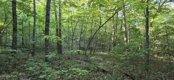 Monterey, TN 38574,25 Down PL