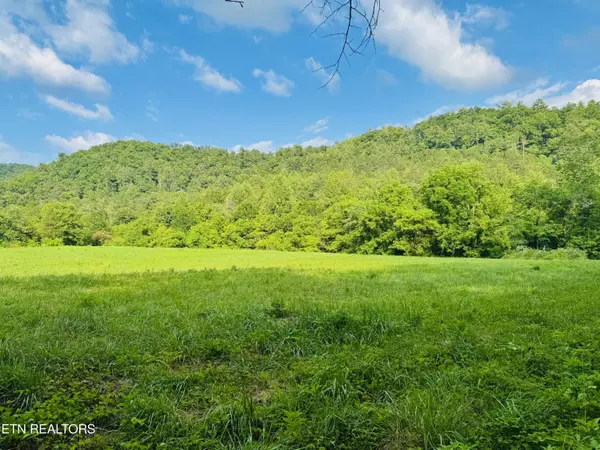Sevierville, TN 37876,1668 Misty Mountain WAY