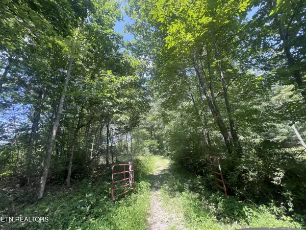 Lancing, TN 37770,130 Earl Gooch Rd