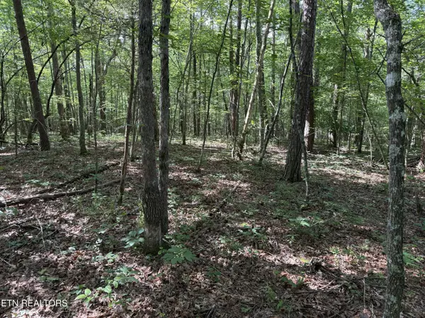 Monterey, TN 38574,Laurel WAY