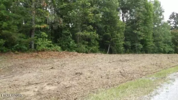 Wilder, TN 38589,Lot 222 Hilltop Lane
