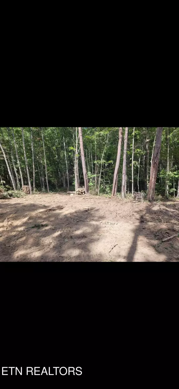 Wilder, TN 38589,Big Piney LOOP