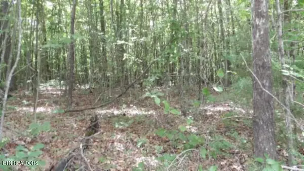 Wilder, TN 38589,Lot 48 Parkstown Ext. Rd