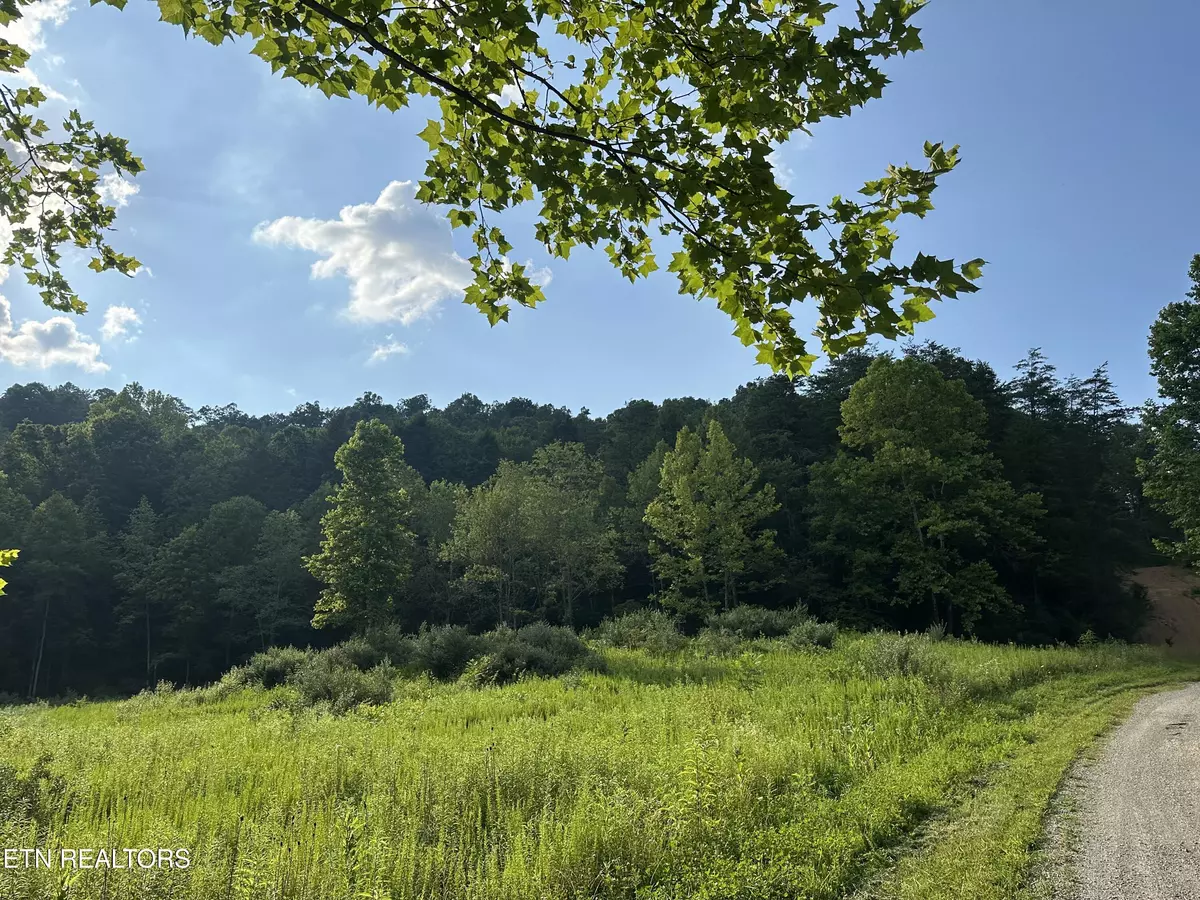 Lafollette, TN 37766,Doc Hollow off Lowes Branch Rd