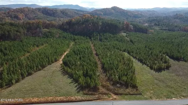 Vonore, TN 37885,Lot 51 Three Point Rd