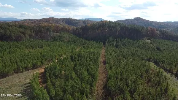 Vonore, TN 37885,Lot 51 Three Point Rd