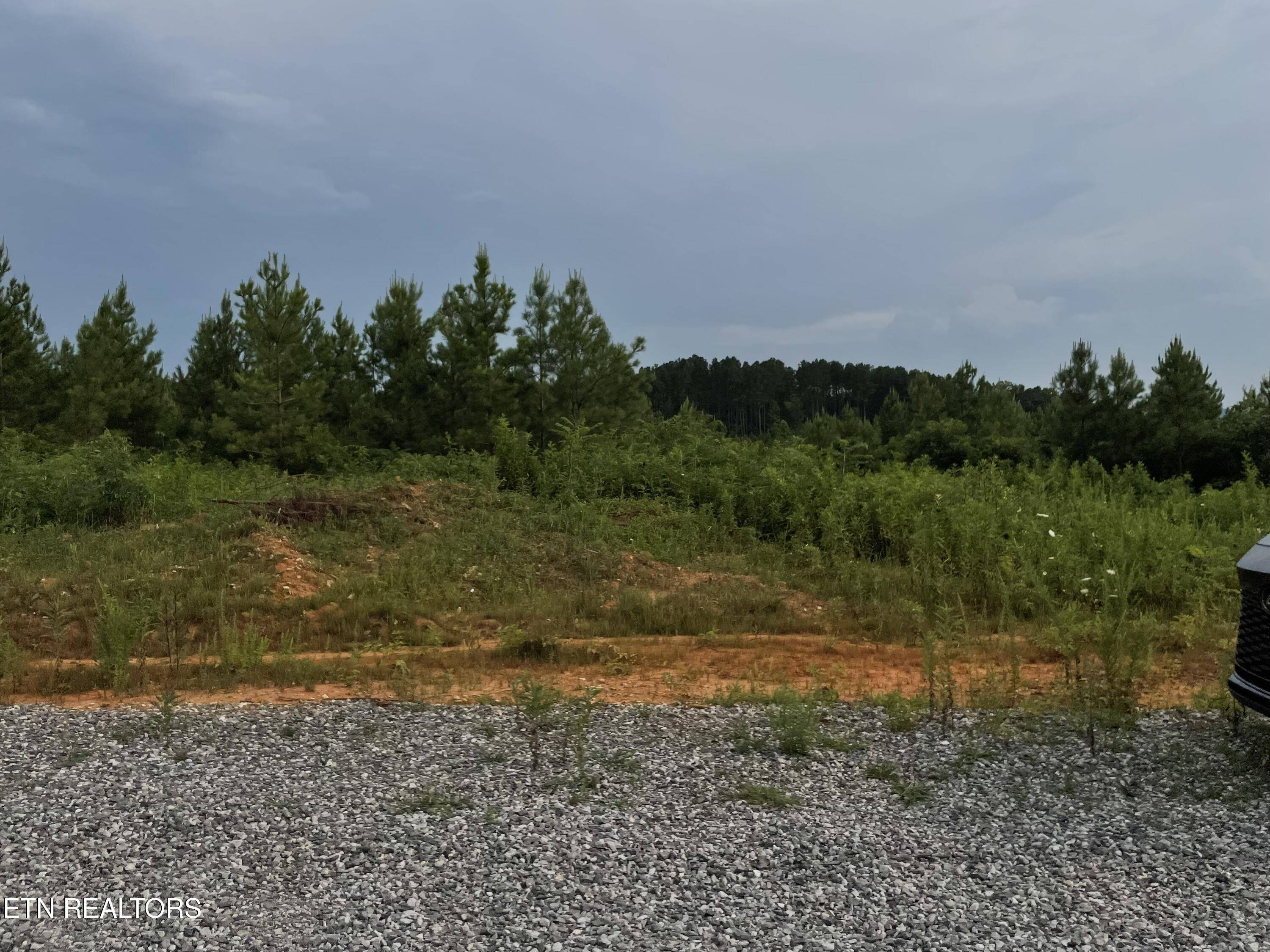 Vonore, TN 37885,Lot 51 Three Point Rd