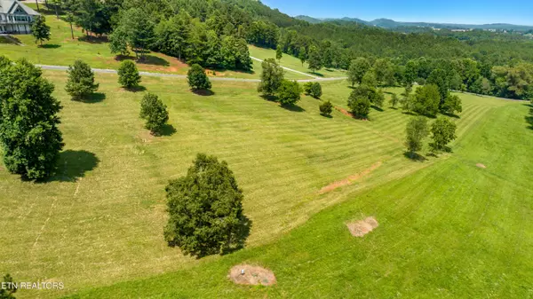 Vonore, TN 37885,141 Overlook WAY
