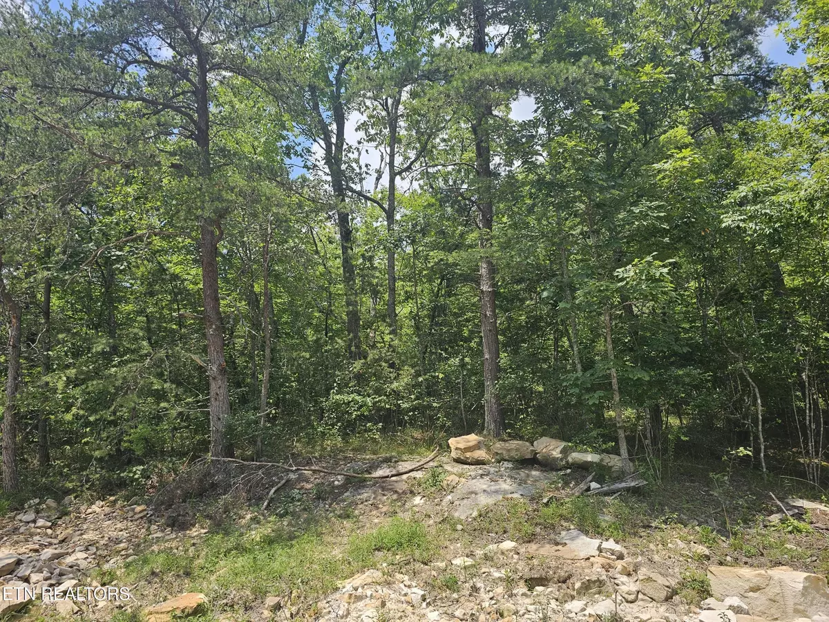 Crossville, TN 38558,371 St. George DR