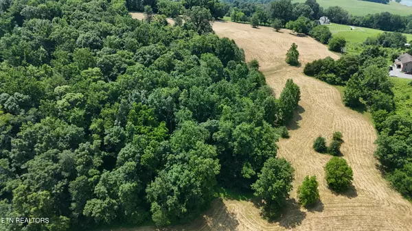 Blaine, TN 37709,Collins Rd