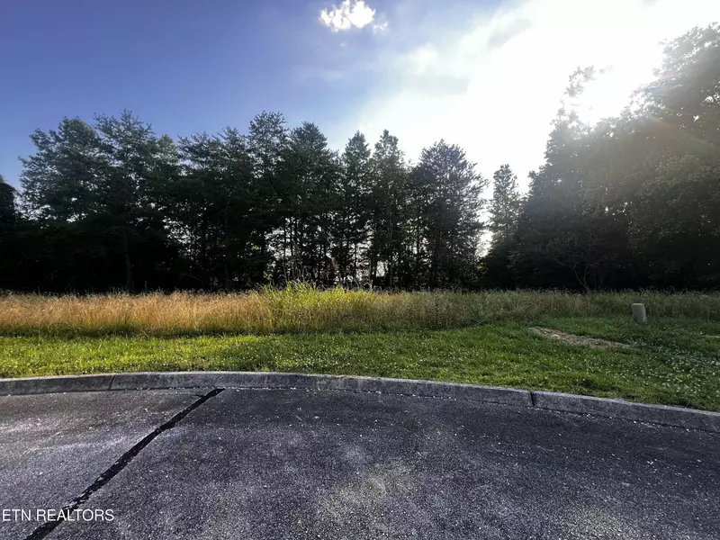 Creekside DR, Rockwood, TN 37748