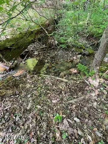 Seymour, TN 37865,Reagan Springs Rd