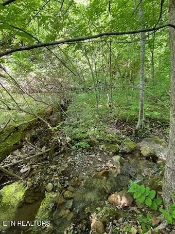 Seymour, TN 37865,Reagan Springs Rd