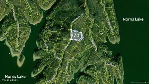 Sharps Chapel, TN 37866,Lot 70 Grandpas Ridge