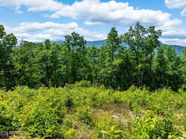 Gatlinburg, TN 37738,648 Almost Heaven WAY