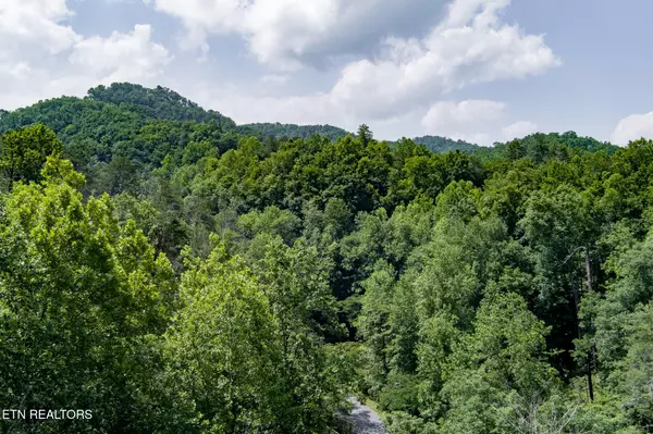 Sevierville, TN 37862,2327 Pleasant VW