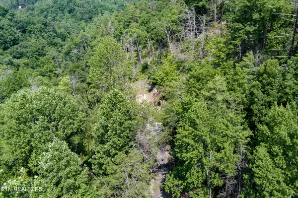 Sevierville, TN 37862,2327 Pleasant VW