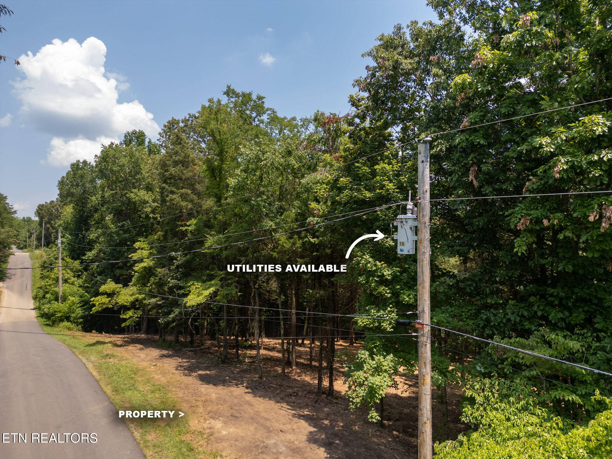 Loudon, TN 37774,181 Pinecrest DR