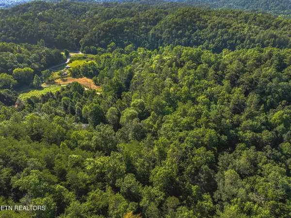 Cosby, TN 37722,Boyd WAY