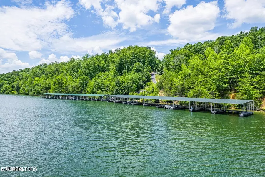 439 Ridgeway Pass, Spring City, TN 37381