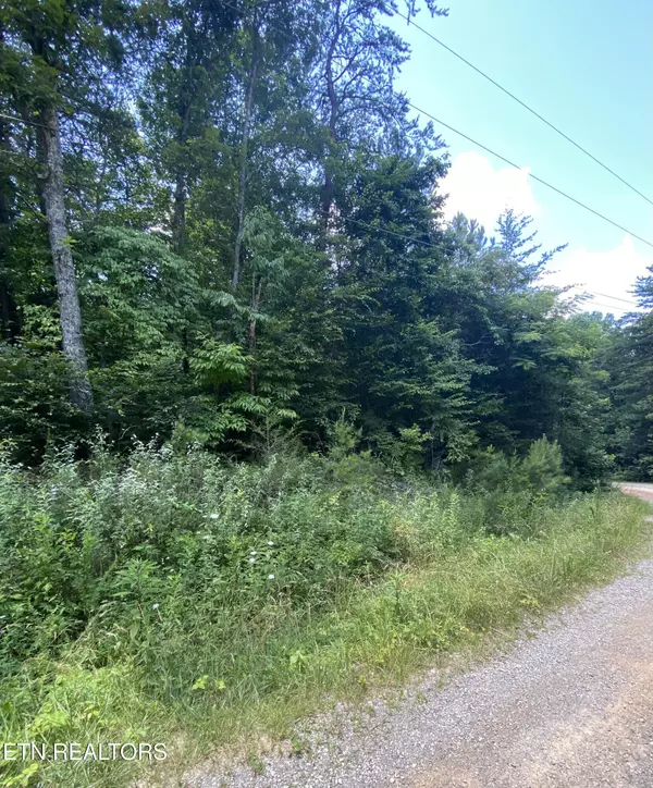 Tellico Plains, TN 37385,Lot 3 Welch Rd