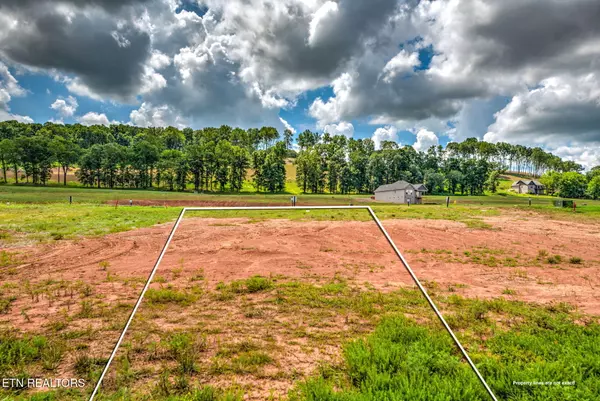 Loudon, TN 37774,695 Black Bear CIR