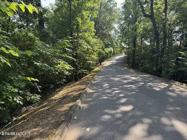 Sevierville, TN 37862,2432 Hawks Nest WAY