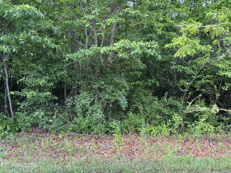 34 Choctaw LN, Crossville, TN 38572