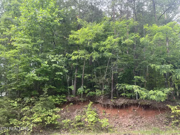Madisonville, TN 37354,Lot 240-242 Laurel Mountain Rd