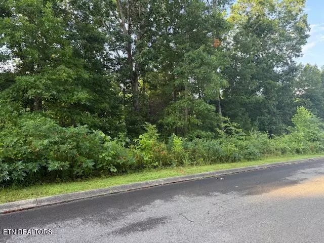 Dandridge, TN 37725,Lot 17 Woodland Creek DR