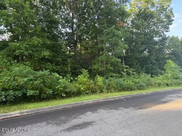 Lot 17 Woodland Creek DR, Dandridge, TN 37725