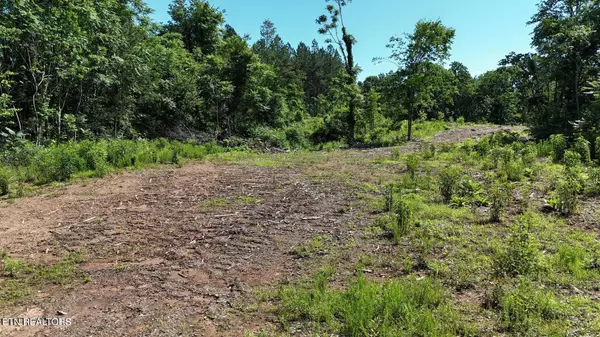 Decatur, TN 37322,Lot 2 Lamontville Rd