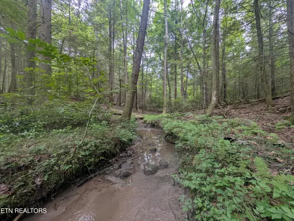 Jamestown, TN 38556,Model Farm Rd