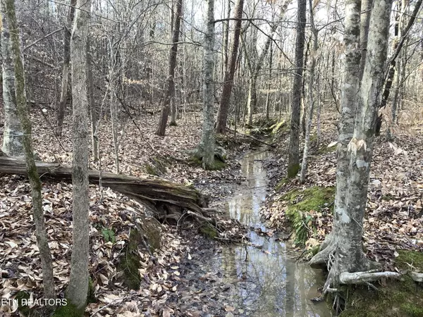 Maryville, TN 37803,Blockhouse Rd
