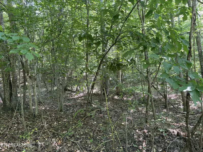 LOT 532 Whistle Valley Rd, New Tazewell, TN 37825