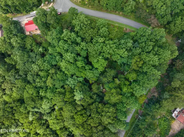 Townsend, TN 37882,1005 Laurel Rd