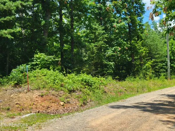 Sevierville, TN 37876,Lot 45 Hickory Tree St