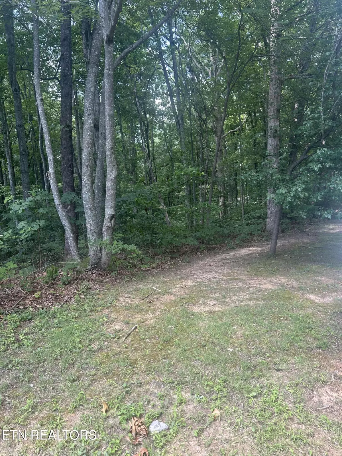 Jamestown, TN 38556,0 Huckleberry DR