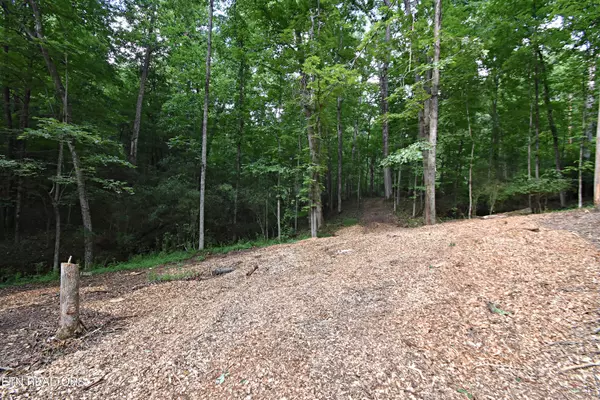 Knoxville, TN 37922,0 Early Rd #2