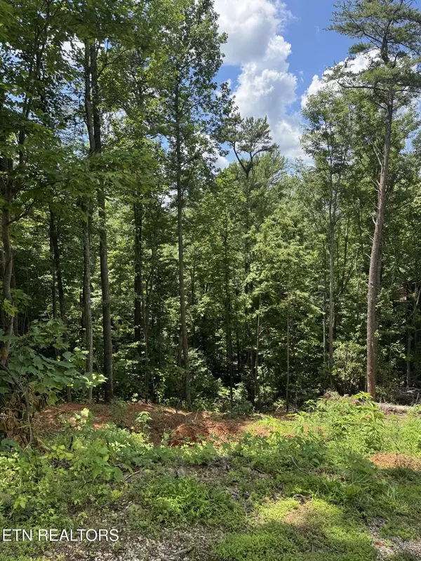 Sevierville, TN 37876,Cherry Vw LN