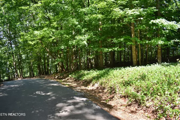 Rockwood, TN 37854,Lot 3 Kirkham DR