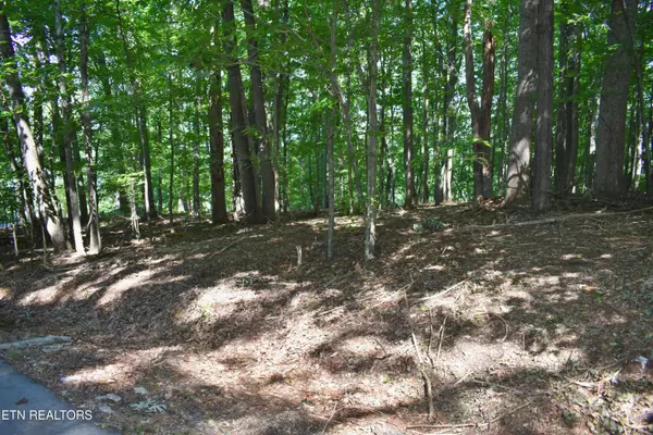 Rockwood, TN 37854,Lot 3 Kirkham DR