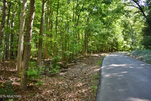 Rockwood, TN 37854,Lot 3 Kirkham DR