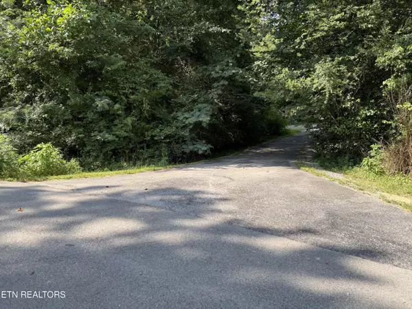 Riceville, TN 37370,109 County Road 117