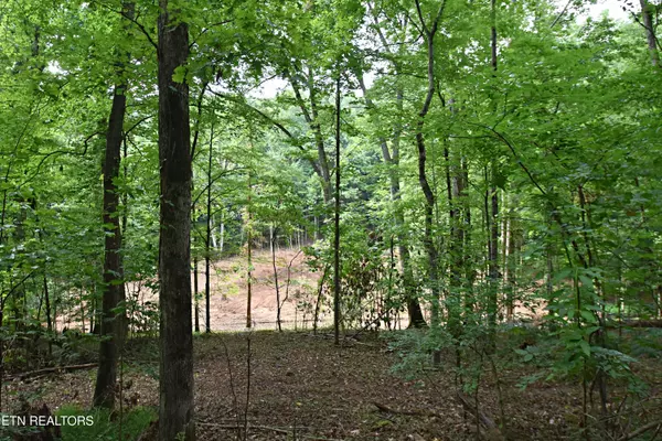 Knoxville, TN 37922,0 Early Rd #3