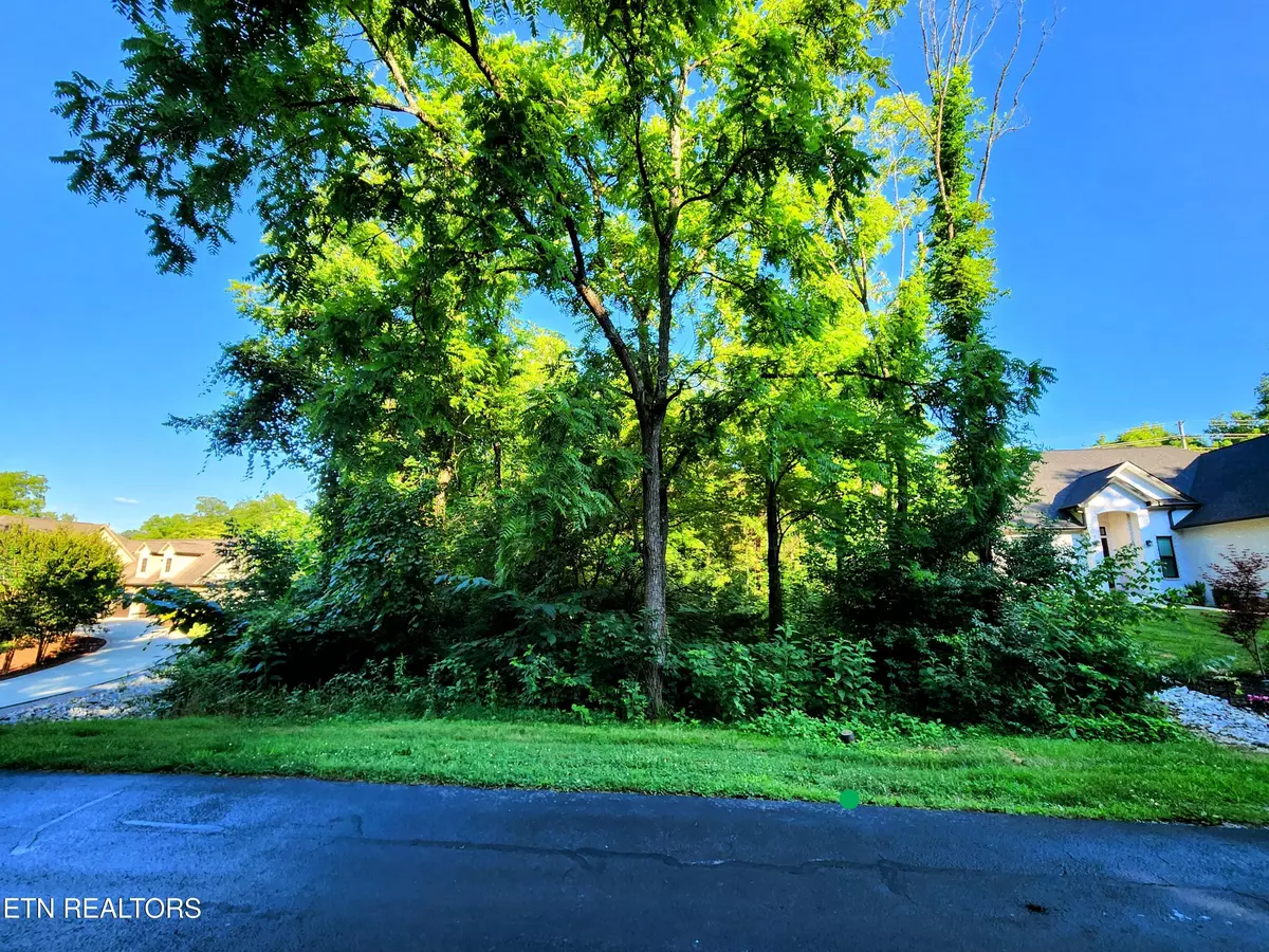 Loudon, TN 37774,141 Saloli WAY