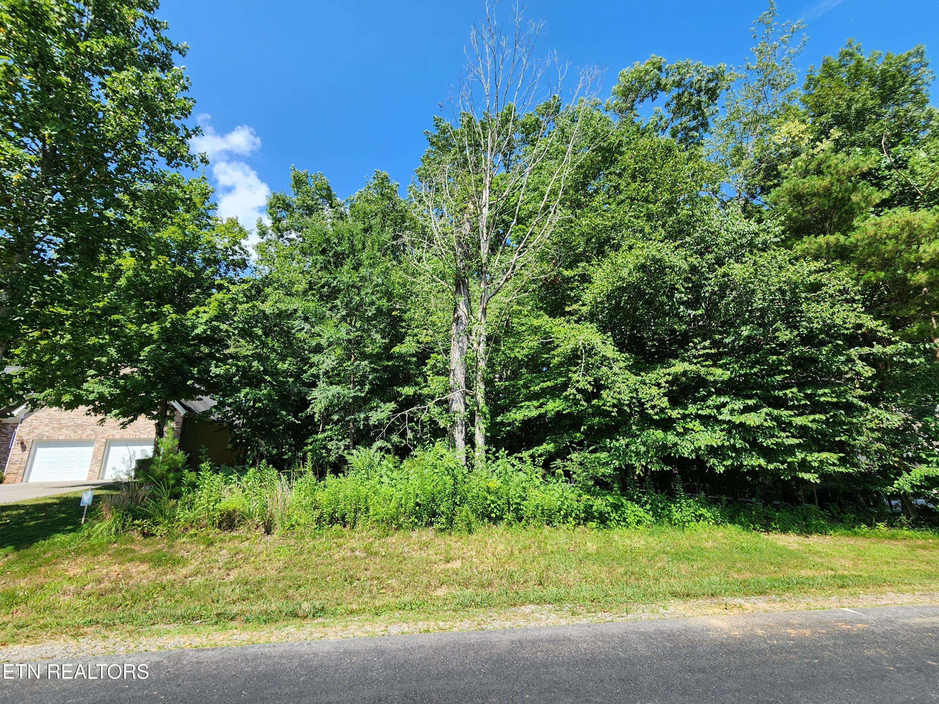 TBD Golanvyi Tr, Vonore, TN 37885