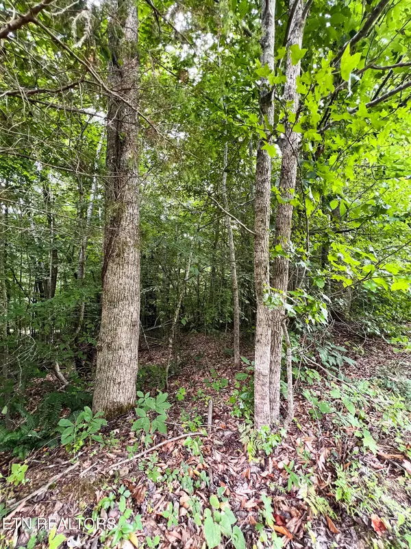 Tazewell, TN 37879,119 Laurel Wood Rd
